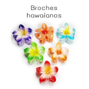 PAQUETE DE BROCHE